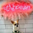 뽀송이네 목욕탕 이미지