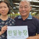 복덩이 한우2 이미지