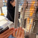 풍덕천로 189번길 | [세훈네옹심이칼국수] 수지 찐맛집 알려준다.. 조용히 들어와라