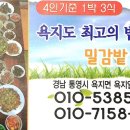 밀감밭민박 이미지