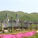 하이원휴양콘도미니엄 이미지