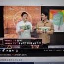 1721프로젝트