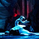 유니버설발레단 <백조의 호수> 이미지