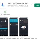 바네스(VANESSE) 네이버블로그