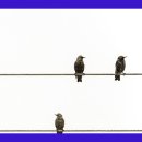 강림한의원 이미지