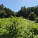 남해농장 이미지