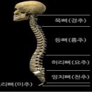 발로 걷는 사람, 머리로 걷는 사람  이미지