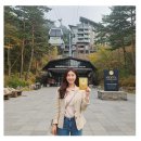 온누리정비 | 휘닉스평창 연간이용권 단독 특가 할인 혜택 및 블루캐니언 가격까지 총정리