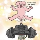 유정선 | 쌍둥이 막달 Y존 치골통 산전마사지 후기(내돈내산)