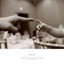 돌이가든 이미지