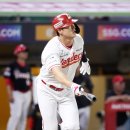 늦게 피는 꽃 이미지