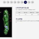 알프스대영 골프장 이미지