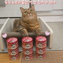 원플랜마케팅 | 동원몰 마이펫 첫 구매 혜택받고 구입한 고양이간식 뉴트리플랜 고양이캔