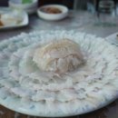 향림초장 네이버블로그