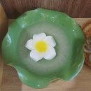 파파야투어 | 나트랑 마사지샵 추천 시내 파파야스파 시내투어 할인 꿀팁 후기!