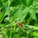 당감초등학교 병설유치원 이미지