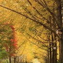 김유신 장군 사당 이미지