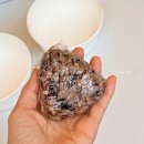 닥터88언양존 | 서울체력장 손목닥터 9988 체력에 진심이었던 그날