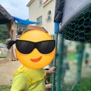 보리네숲어린이집 이미지