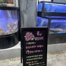 [부천] 봄 제철음식 알쭈꾸미샤브샤브 하는 곳 !!🐙 싱싱회관 내돈내산 후기