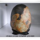 일광칼라 이미지