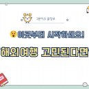 꽃 보러 떠나는 세계여행(2) | 😵 해외여행 고민된다면? 이곳부터 시작하세요!