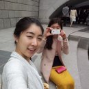 엠제이와이 이미지