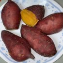 우물안 개구리 콘서트 | 갑차기스러운데10월취소해도돼?