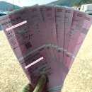 영동해운(욕지영동고속/욕지영동골드고속) 이미지