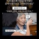 베러댄쿠키 이미지