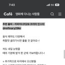 영화제다니는 사람들 이미지