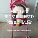 뽀롱뽀롱 뽀로로 인형 유모차 역할놀이 장난감 후기