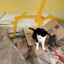 몽돌힐링 | 거제 학동몽돌해변 후기｜버스킹 음악과 파도소리로 완성된 가족 힐링 여행