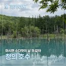 치산정 | 홋카이도 가볼만한곳, 비에이후라노투어 청의호수 솔직후기