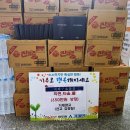 거제면사무소 거제뉴스아이