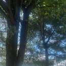 에덴골프아카데미 이미지