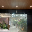 현대전문카클리닉 | 오캄 현대백화점 킨텍스점 킨텍스점 두피 클리닉 후기