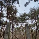 가산수피아 이미지