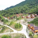 진산자연휴양림 | 공립 자굴산 자연휴양림 (부산/경남)