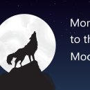 엔엑스티글로벌 | 멸망한 투자시장(비트코인, 삼성전자)에서 살아남는 3가지 방법[3/3] (비트코인 시세, 삼성전자 주가...