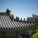 무덕유치원 | 19-05-21 경희궁, 여유가 넘쳐난 하루를 보내다 - Kodak portra400, Leica M10