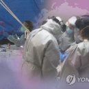 샤이나 오피스텔 중앙일보