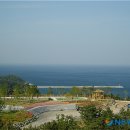 (주)중앙조경 뉴시스