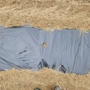 영생 농장 이미지