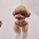 우리아이 동물메디컬센터 이미지