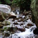 숲실산방 Daum카페