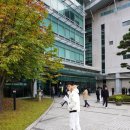 용인대 한국 유도관 이미지