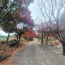 적상산휴게소식당 | (세종시 인근 산행) 붉은 치마 적상산 가을 산행