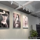 포레스트 짐 이미지