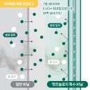 더 펫츠 이미지